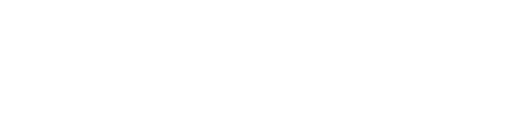 Blue Lightning Initiative